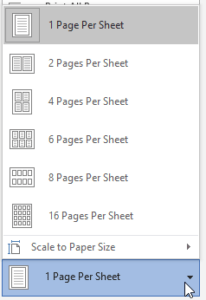 Multiple Page Print in word